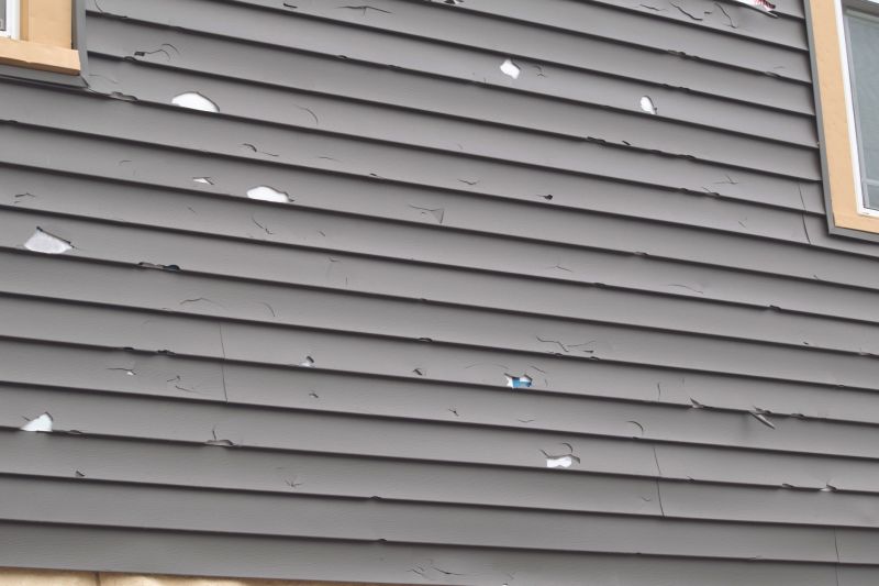 Expert Siding Repair